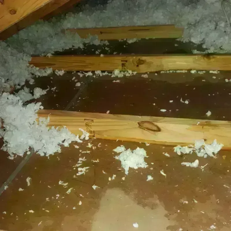 Attic Water Damage in Wittenberg, WI