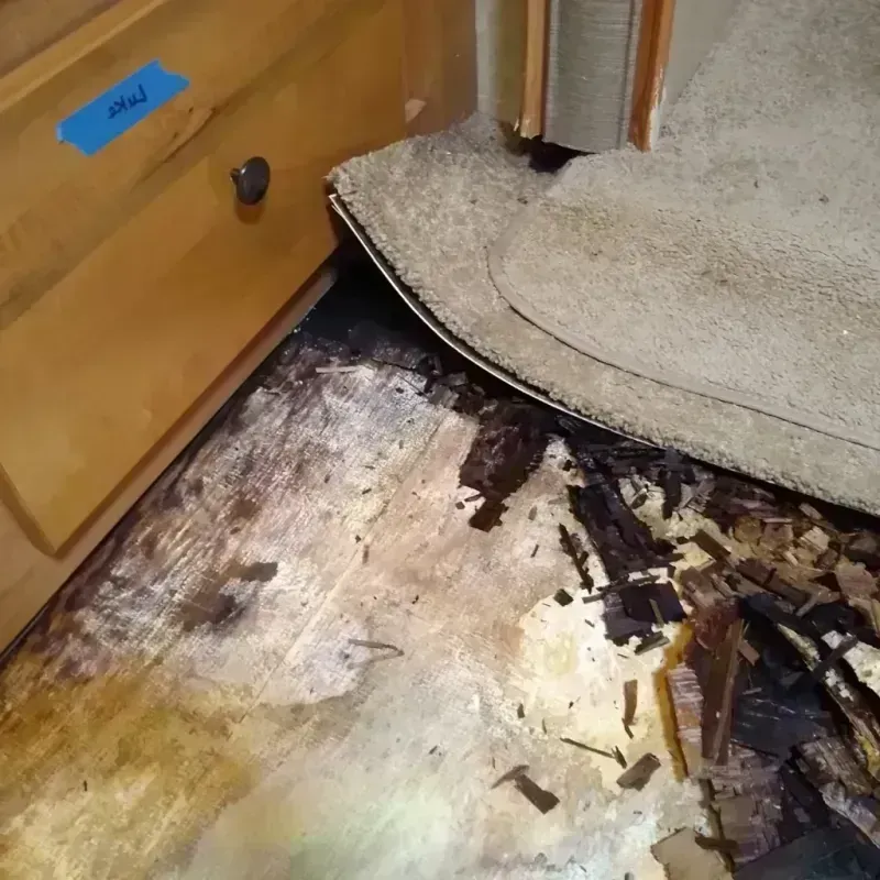 Wood Floor Water Damage in Wittenberg, WI